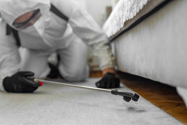 Professional Termite Control technician working in Urbancrest, OH
