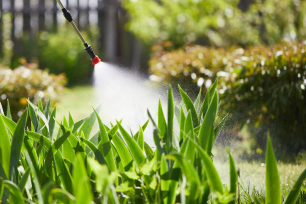 24/7 Emergency Termite Control experts in Urbancrest, OH